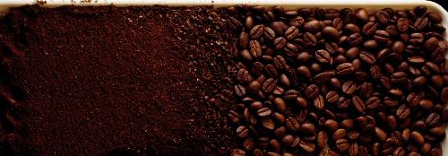 세상에는 ‘커피를 마시는 자’와 ‘커피를 마시지 않는 자’로 양분된다.
