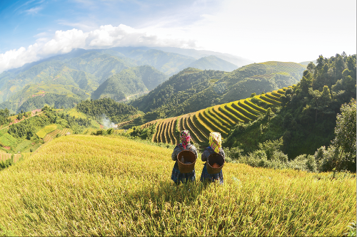The Cordilleras Rice Terraces: A Scenic Masterpiece that Enhances Nature with Human Wisdom