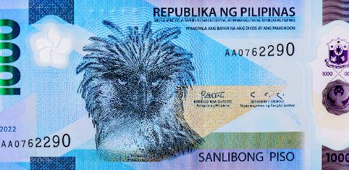 필리핀 국조 ‘필리핀수리’
