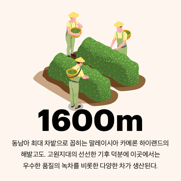 09-article images-KR-02.jpg