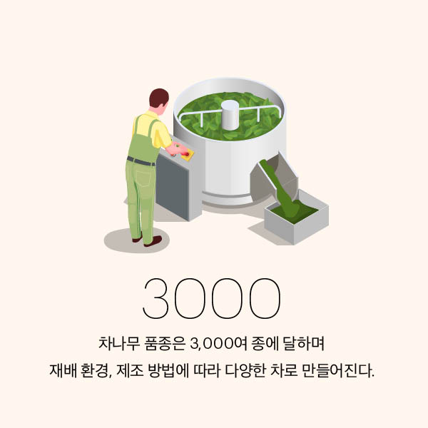 09-article images-KR-05.jpg