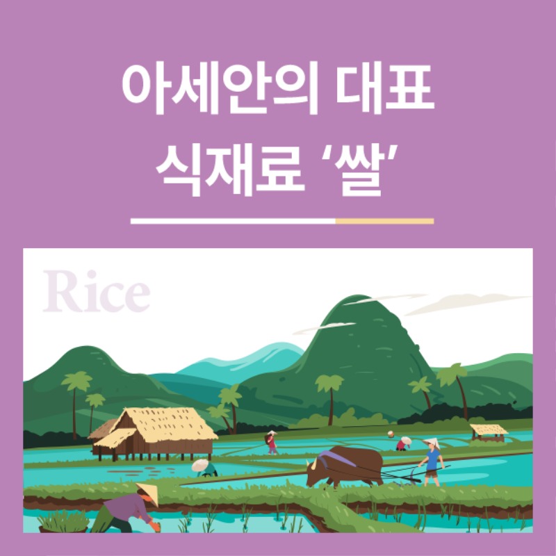 아세안의 대표 식재료 ‘쌀’