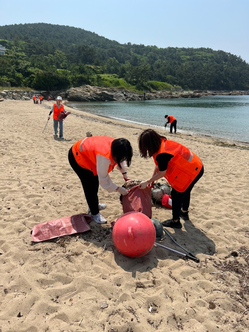 230619 2023 반려해변 정화활동 (6).jpg